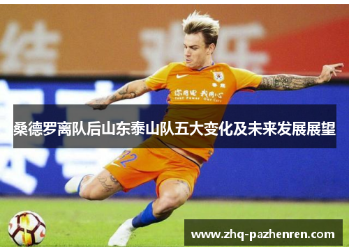 桑德罗离队后山东泰山队五大变化及未来发展展望 桑德罗离队后山东泰山队五大变化及未来发展展望