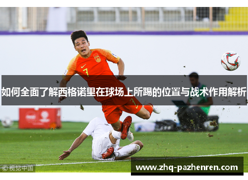 如何全面了解西格诺里在球场上所踢的位置与战术作用解析 如何全面了解西格诺里在球场上所踢的位置与战术作用解析