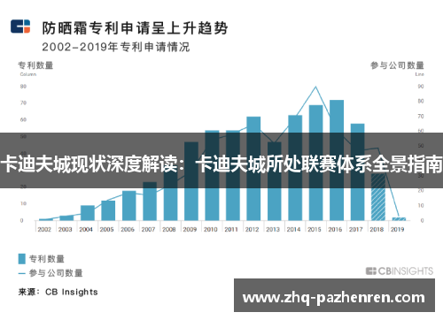 卡迪夫城现状深度解读:卡迪夫城所处联赛体系全景指南 卡迪夫城现状深度解读:卡迪夫城所处联赛体系全景指南