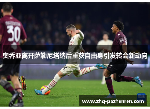 奥乔亚离开萨勒尼塔纳后重获自由身引发转会新动向 奥乔亚离开萨勒尼塔纳后重获自由身引发转会新动向